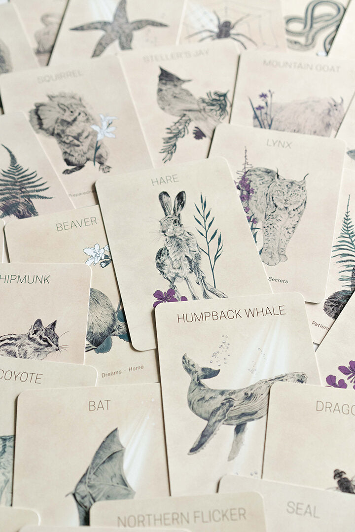 Messengers from the great bear-Oracle Deck