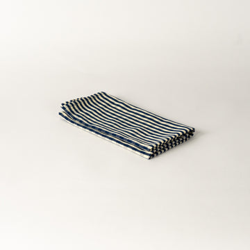 Blue & White Gingham